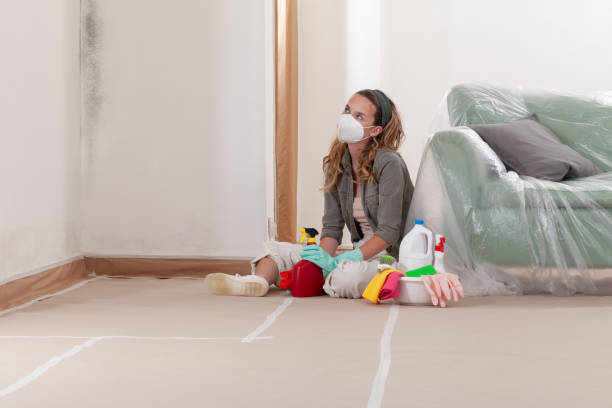 Reliable Mold Removal contractor in Sammamish, WA by WQB Mold Removal